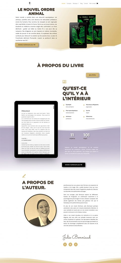 instantlivre Site WordPress créé pour instantlivre.com